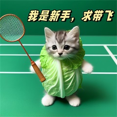 别再乱排查网络了！TCPIP 协议基础，新手也能轻松搞定