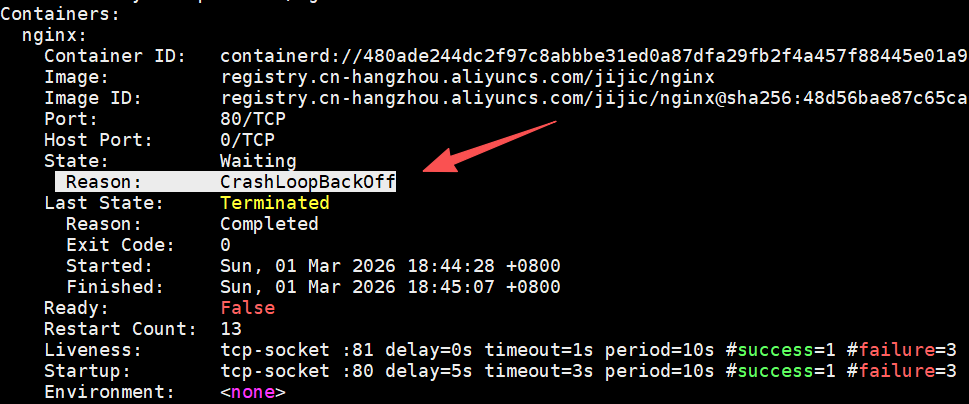 工作中Pod出现异常了,如何定位异常? 工作中Pod出现异常了,如何定位异常?