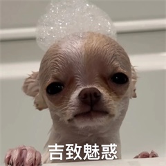 如果薪资相同，选大厂还是小厂？